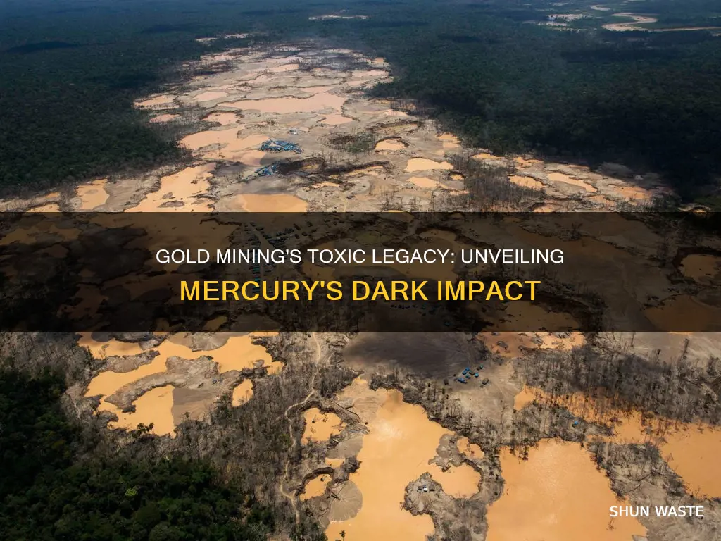 does gold mining cause mercury pollution