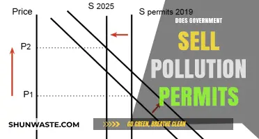Pollution Permits: Government's Role and Responsibility