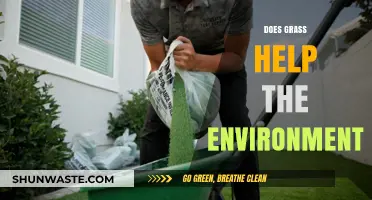 How Grass Benefits the Environment: A Surprising Eco-Friendly Ally