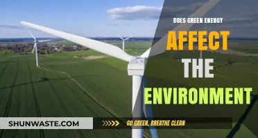 Green Energy's Environmental Impact: Benefits, Challenges, and Sustainability Insights