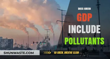 GDP's Green Metrics: Pollutants Included?