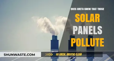 Greta's Solar Panels: Clean Energy, Dirty Secrets