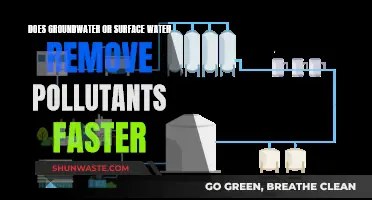 Groundwater vs. Surface Water: Which Removes Pollutants Faster?