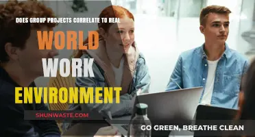 Group Projects: Mirroring Real-World Collaboration or Academic Illusion?