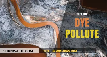 Hair Dye: Environmental Impact and Pollution Concerns