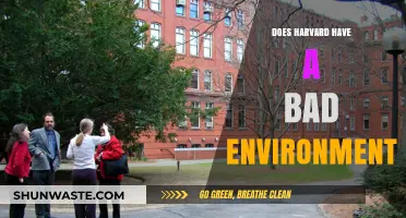 Harvard's Campus Culture: Unveiling the Truth About Its Environment