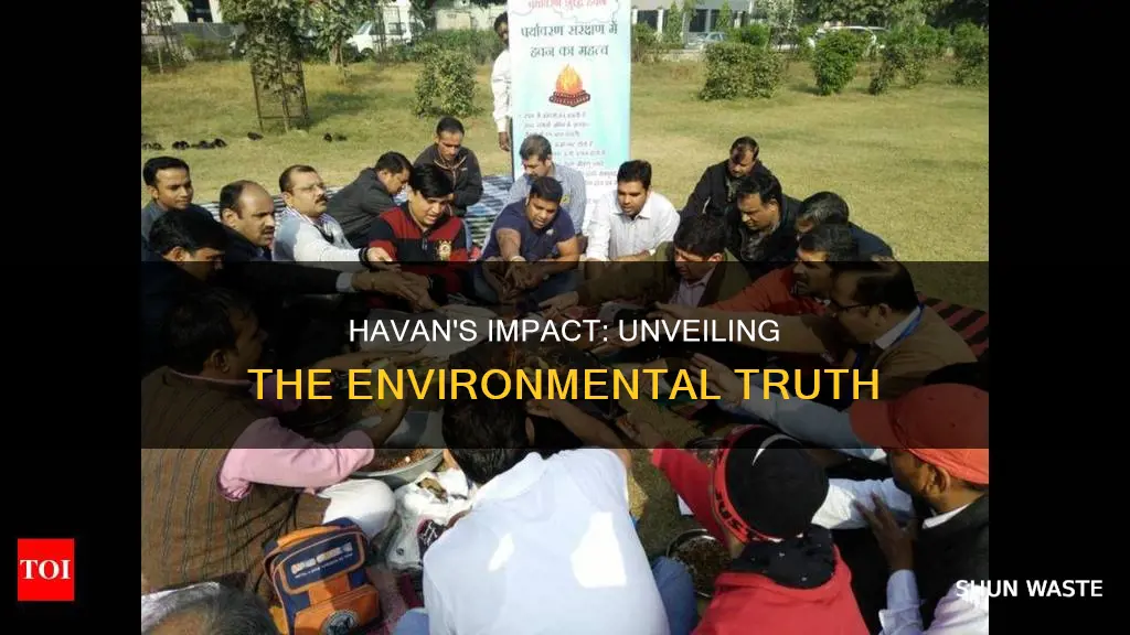 does havan cause pollution