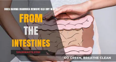 Diarrhea's Role in Clearing Old, Dry Intestinal Waste: Fact or Fiction?