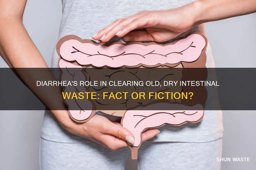 does having diarrhea remove old dry waste from the intestines