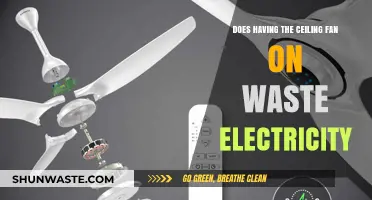 Ceiling Fans and Energy Efficiency: Are They Really Cost-Effective?