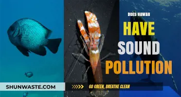 Hawaii's Noise Pollution: A Silent Threat