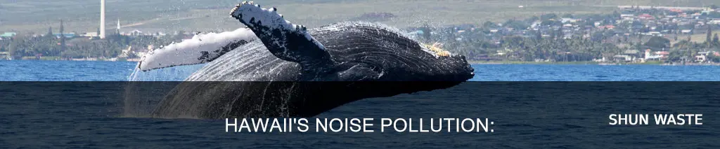does hawaii have sound pollution