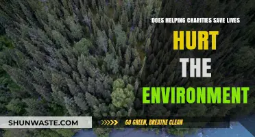 Charity's Impact: Saving Lives vs. Environmental Costs – A Delicate Balance