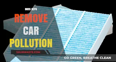 HEPA Filters: Effective Against Car Pollution?