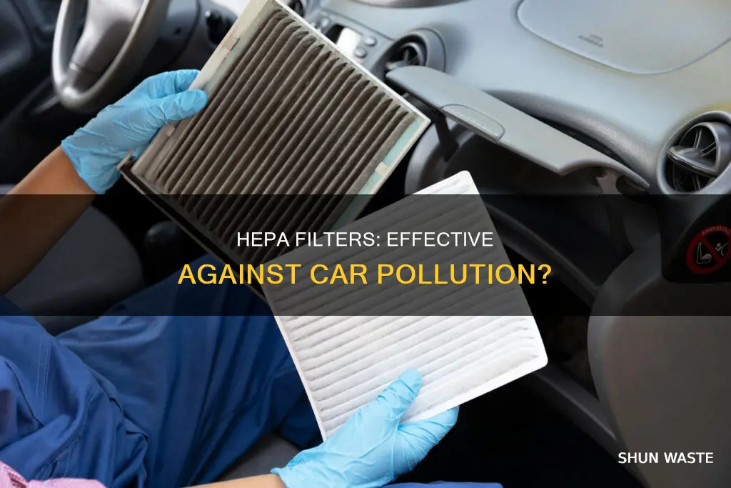 does hepa remove car pollution