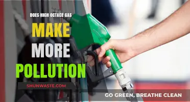 High Octane Gas: More Power, Pollution?