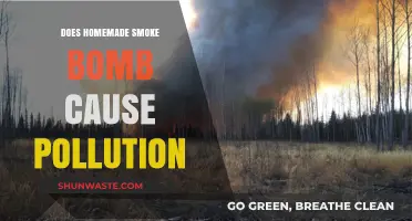 Homemade Smoke Bombs: A Green or Greenish Choice?