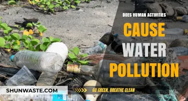 Human Impact: The Water Pollution Crisis Explained