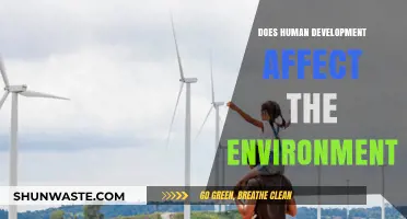 Human Development's Environmental Impact: Balancing Progress and Sustainability