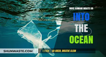 Human Waste in the Ocean: Environmental Impact and Solutions Explored