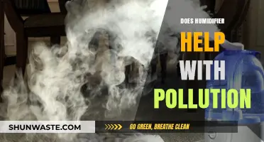 Humidifier and Pollution: A Helpful Solution?