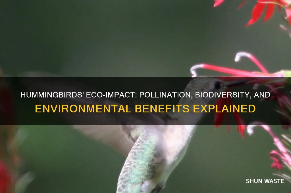 does hummingbird help the environment