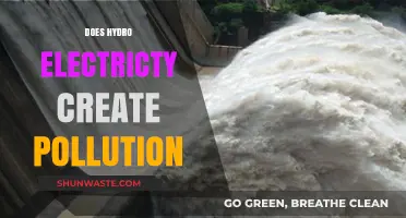 The Green Energy Paradox: Hydroelectricity's Pollution Problem