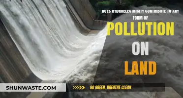 Hydroelectric Power: Pollution or Clean Energy?