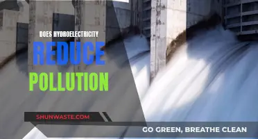 Hydroelectric Power: Pollution Solution or Problem?