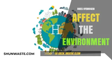 Hydrogen's Environmental Impact: Benefits, Challenges, and Sustainable Future Insights