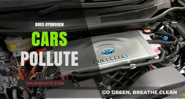 Hydrogen Cars: Polluters or Green Machines?