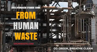 Exploring the Link: Hydrogen Cyanide and Human Waste Origins