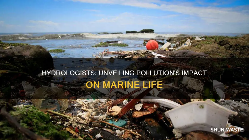 does hydrologist studies the effects of pollution on marine life
