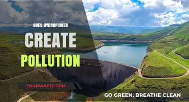 Hydropower's Pollution Paradox: Clean Energy, Dirty Secret?