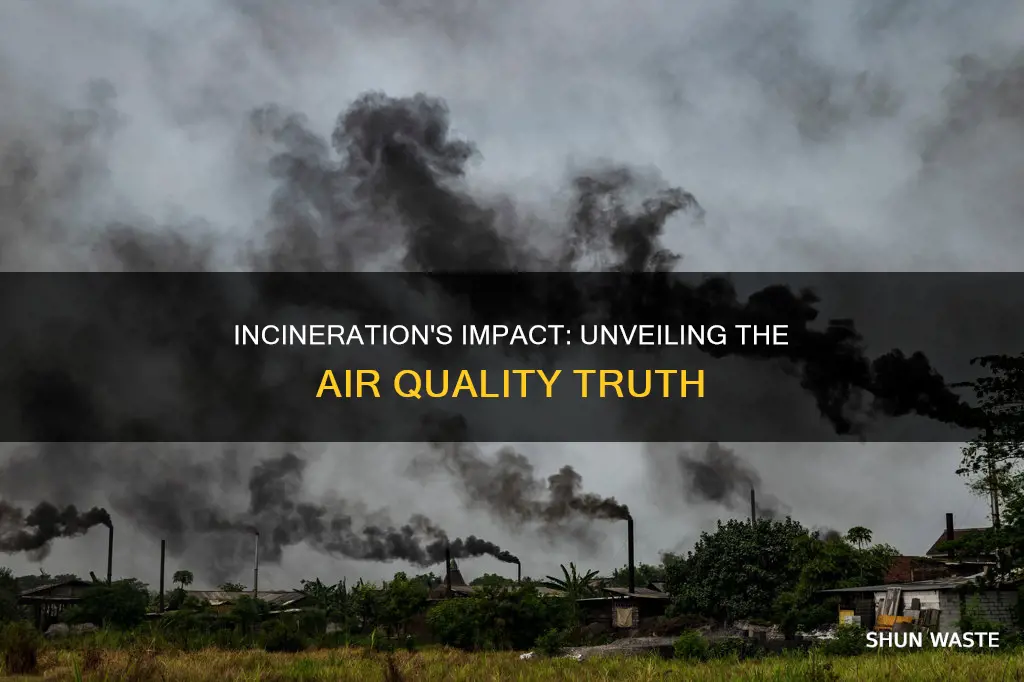 does incineration cause air pollution