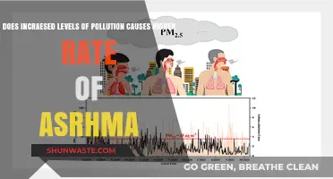 Air Quality and Asthma: Unveiling the Impact of Pollution