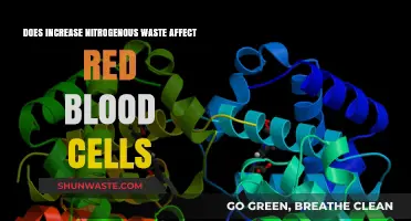 Nitrogenous Waste Impact: How It Affects Red Blood Cell Function and Health