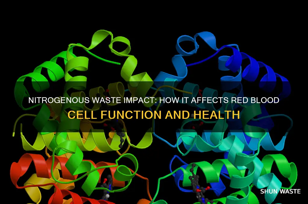 does increase nitrogenous waste affect red blood cells