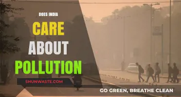 India's Pollution Problem: Who Cares?