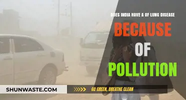 Air Pollution: India's Silent Lung Disease Crisis