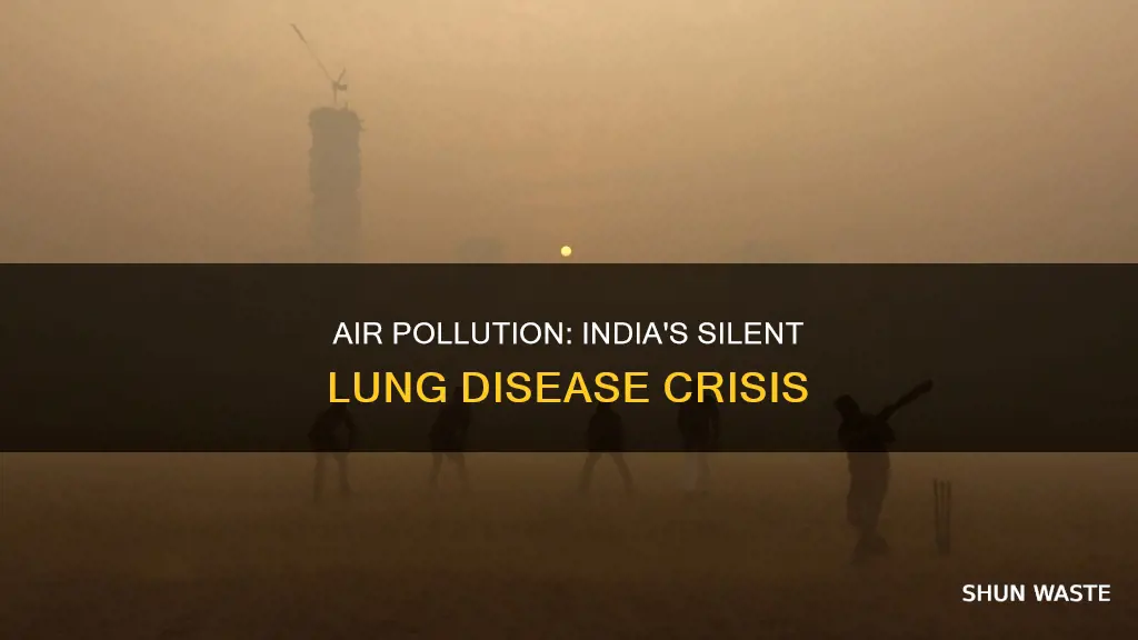 does india have a of lung disease because of pollution