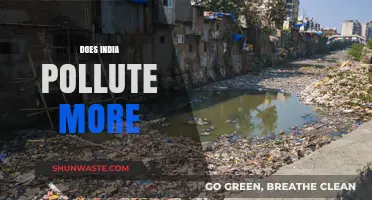 India's Pollution Problem: Who's to Blame?