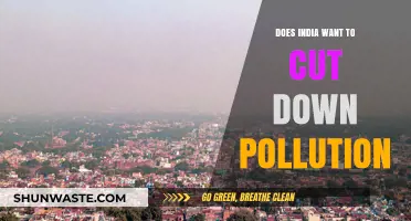India's Pollution Battle: Can the Country Win?