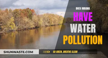 Indiana's Water Woes: Unveiling the Truth About Pollution