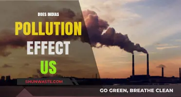 India's Pollution: A Global Concern?