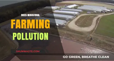 Industrial Farming: A Polluting Practice?