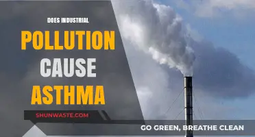 Unveiling the Link: Industrial Pollution and Asthma