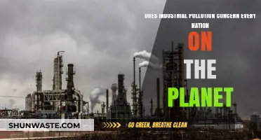 Industrial Pollution: A Global Concern?