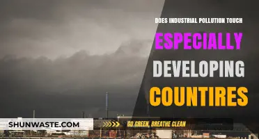 Industrial Pollution's Impact on Developing Countries