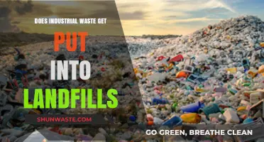 Industrial Waste and Landfills: Uncovering the Disposal Truth